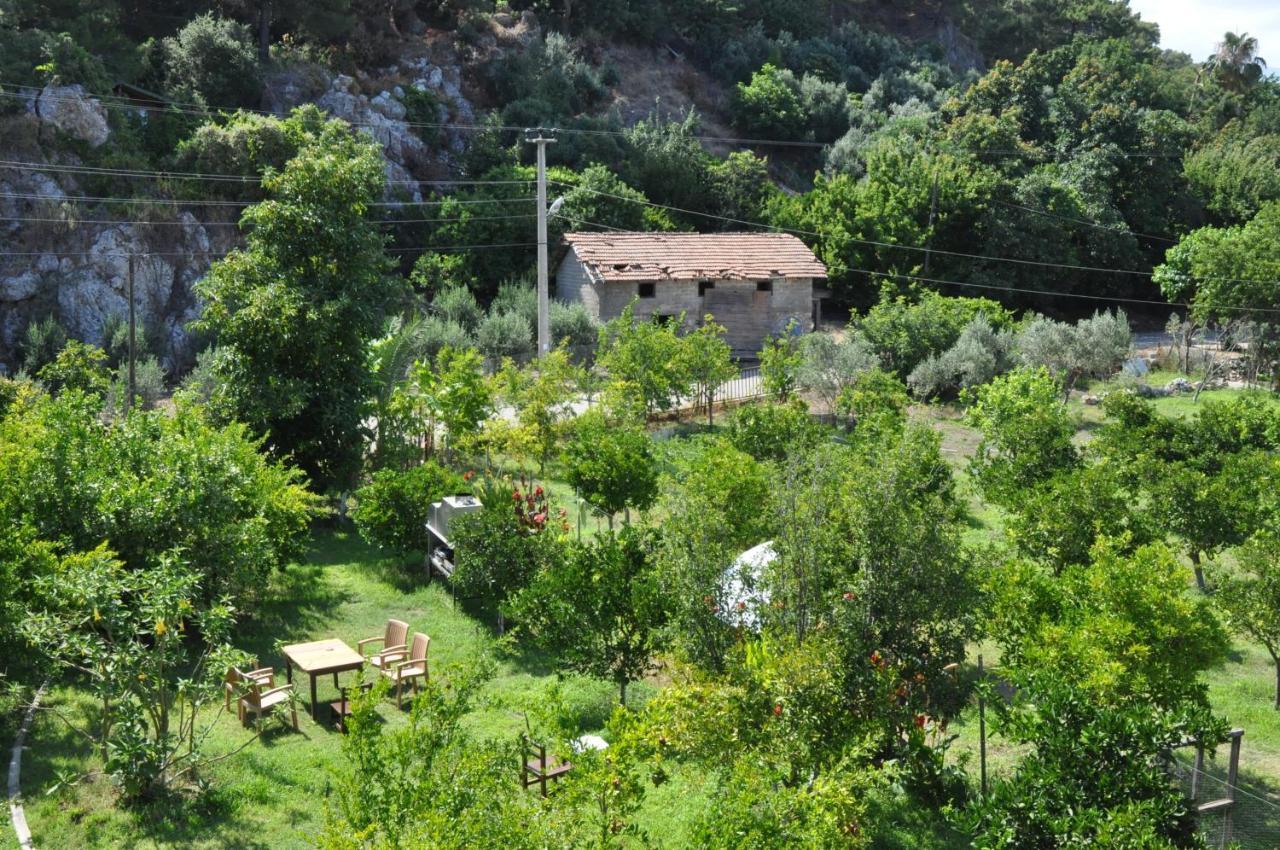 San Simon Hotel Çıralı Exteriér fotografie