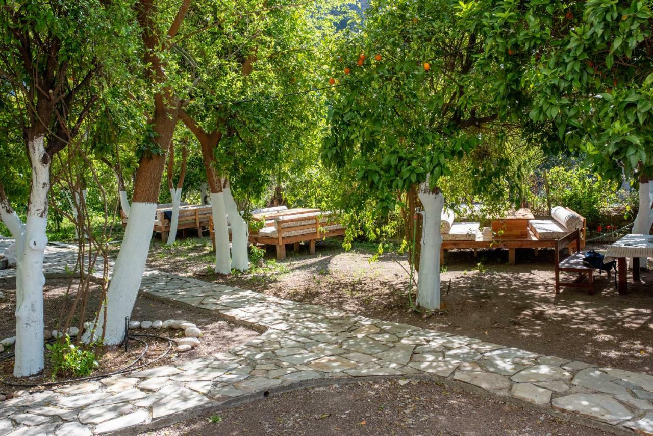 San Simon Hotel Çıralı Exteriér fotografie